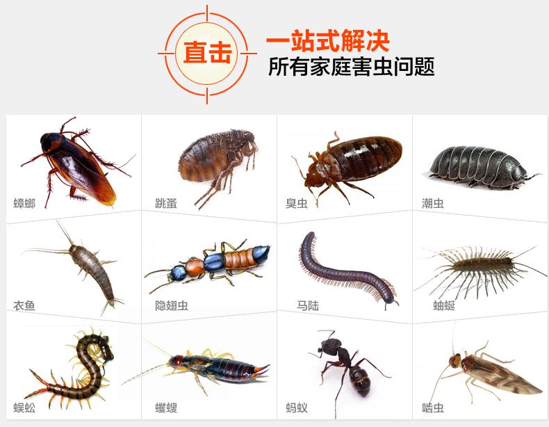 蟑螂的成長(zhǎng)特性介紹