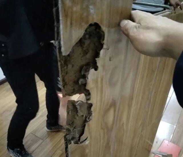 木地板和家居有可能引來(lái)白蟻